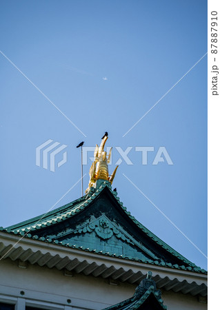 【愛知県】　名古屋城 87887910