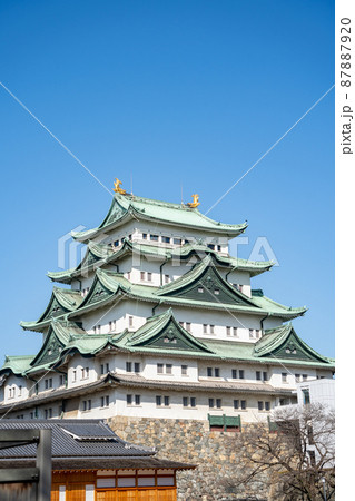 【愛知県】　名古屋城 87887920