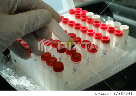 試験 実験する 実験 87887941