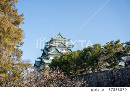 【愛知県】　名古屋城 87888079