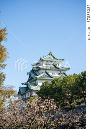 【愛知県】　名古屋城 87888082