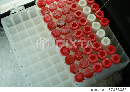 試験 実験する 実験 87888085