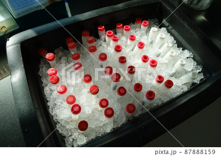 試験 実験する 実験 87888159