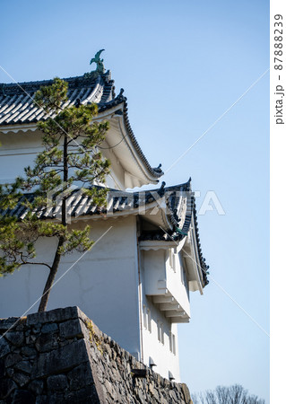 【愛知県】 名古屋城 87888239