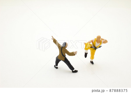 a mini of figure,  Kungfu Chinese Martial Art 87888375