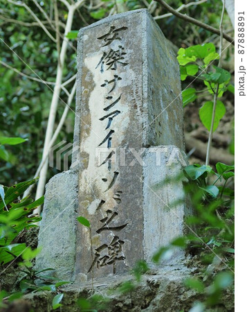 沖縄県 与那国島 ティンダバナ 87888891