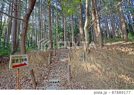 福岡県田川市指定文化財の古墳時代後期の夏吉1号墳 福岡県田川市指定文化財の古墳時代後期の夏吉1号墳 87889177
