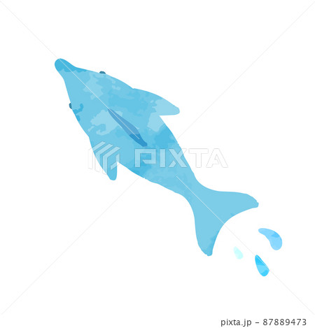 上から見た手描きのイルカのイラストのイラスト素材