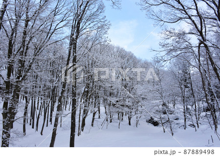 別荘地の雪景色 87889498