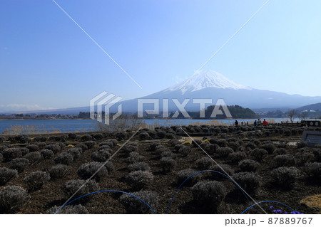 河口湖と富士山 【山梨県富士河口湖町】 河口湖と富士山 【山梨県富士河口湖町】 87889767