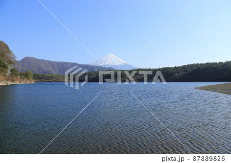 西湖と富士山　【山梨県富士河口湖町】 87889826