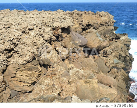 沖縄県 与那国島 アリシ 87890569