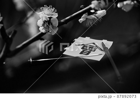 梅と白虎隊隊旗 梅と白虎隊隊旗 87892073