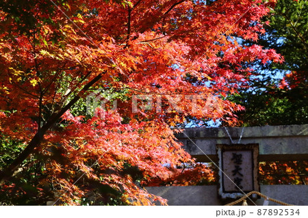 西江寺の紅葉 西江寺の紅葉 87892534