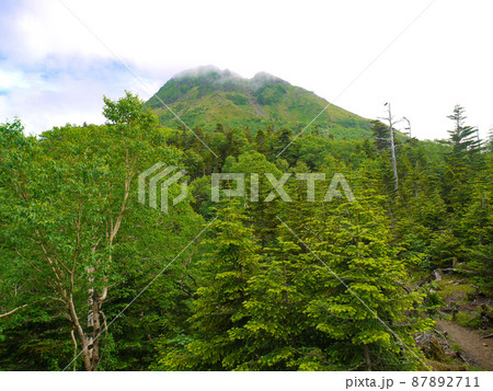 栃木県日光市・日光白根山山頂付近 87892711