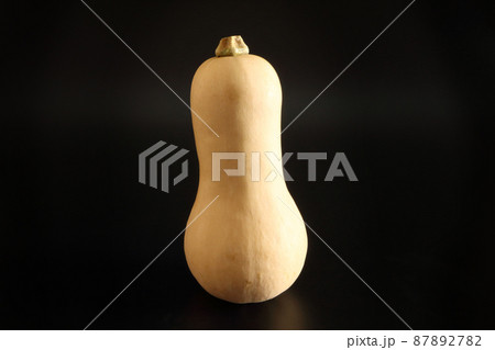 ひょうたんかぼちゃ縦（シンプル黒背景） 87892782