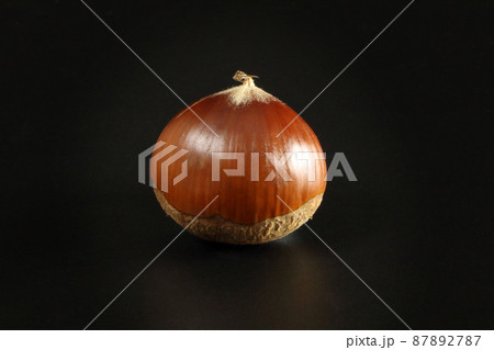 一粒の栗(シンプル黒背景) 一粒の栗(シンプル黒背景) 87892787