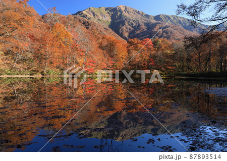 〔福井県大野市・11月〕刈込池 北陸の絶景紅葉スポット 色鮮やかに染まる三ノ峰 〔福井県大野市・11月〕刈込池 北陸の絶景紅葉スポット 色鮮やかに染まる三ノ峰 87893514