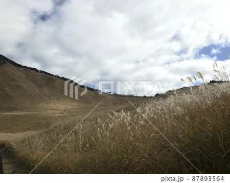 曽爾高原のすすきと空 曽爾高原のすすきと空 87893564