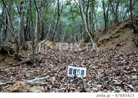 龍野城 87893823