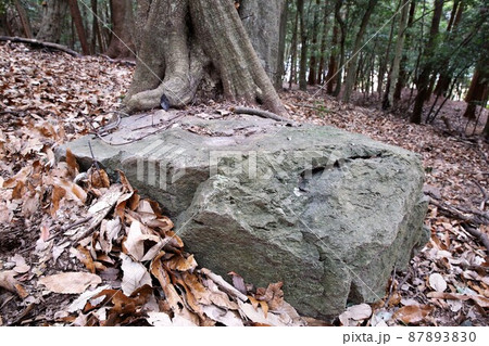 龍野城 龍野城 87893830