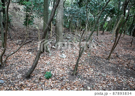 龍野城 龍野城 87893834