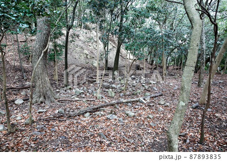 龍野城 龍野城 87893835