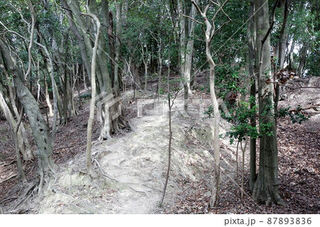 龍野城 龍野城 87893836