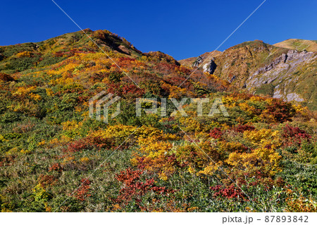 百草の池付近から見る紅葉の越後駒ヶ岳稜線 百草の池付近から見る紅葉の越後駒ヶ岳稜線 87893842