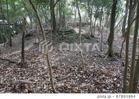 龍野城 龍野城 87893864