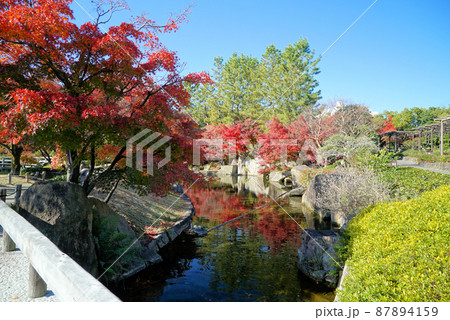 紅葉の徳川園 87894159