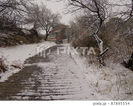 風景 冬 雪景色 87895554