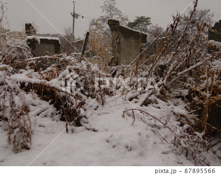 風景 冬 雪景色 87895566