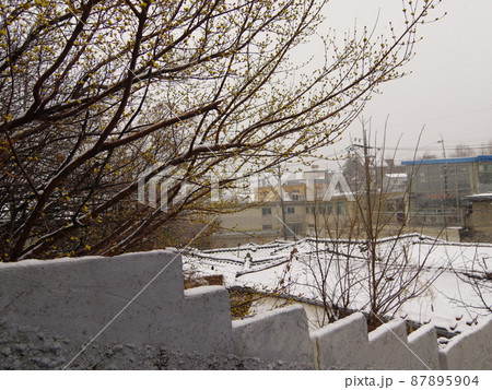 風景 景色 城北区 87895904