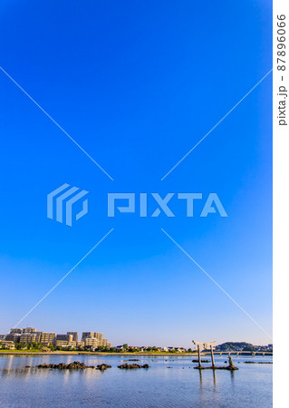 御島水域の朝風景(香椎浜北公園 御島神社) 【福岡市東区】 御島水域の朝風景(香椎浜北公園 御島神社) 【福岡市東区】 87896066