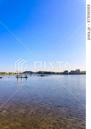 御島水域の朝風景(香椎浜北公園 御島神社) 【福岡市東区】 御島水域の朝風景(香椎浜北公園 御島神社) 【福岡市東区】 87896068