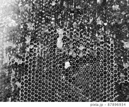 Drop of bee honey drip from hexagonal honeycombs 87896934