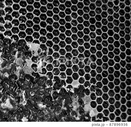 Drop of bee honey drip from hexagonal honeycombs 87896936