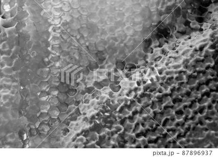 Drop of bee honey drip from hexagonal honeycombs 87896937