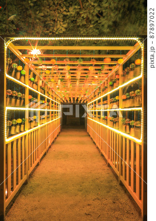 夜の現人神社 夜の現人神社 87897022