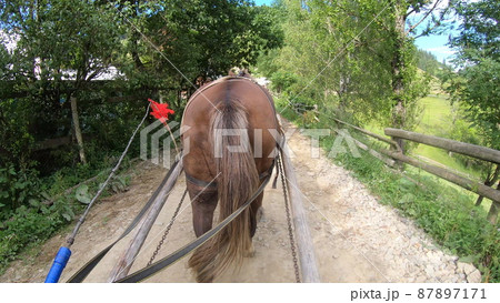 Horse pulls a chaise on a dirt path on a sunny day Horse pulls a chaise on a dirt path on a sunny day 87897171