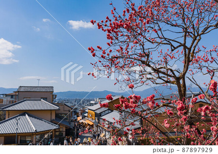 梅の花と京都の町並み 京都観光 の写真素材