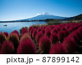 メタセコイアと富士山 87899142