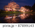 春爛漫 87899143