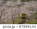 桜のトンネル 87899144