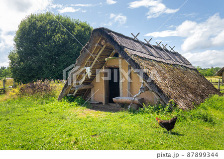 Celtic house with straw thatched roof at Celtic open air museum in Nasavrky, Czech republic Celtic house with straw thatched roof at Celtic open air museum in Nasavrky, Czech republic 87899344