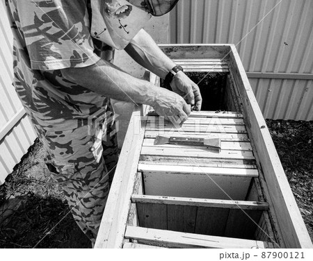 Winged bee slowly flies to beehive collect nectar Winged bee slowly flies to beehive collect nectar 87900121