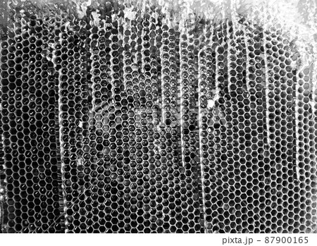 Drop of bee honey drip from hexagonal honeycombs Drop of bee honey drip from hexagonal honeycombs 87900165