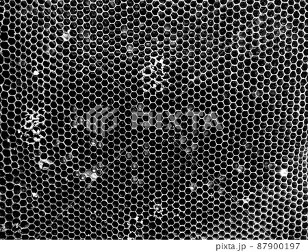 Abstract hexagon structure is honeycomb from bee hive Abstract hexagon structure is honeycomb from bee hive 87900197