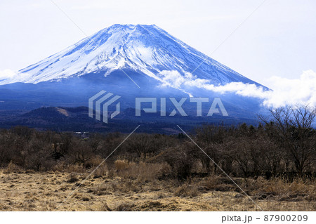 朝霧高原から見た富士山（早春） 87900209
